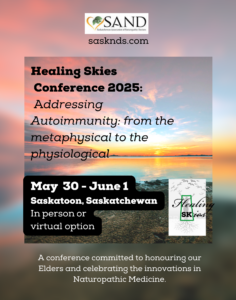 SAND 2025 Healing Skies Poster